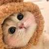 naomibakaow